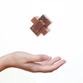 Buy Wooden Burr Puzzle Game Set for Kids 8 Year Old & Adults Alike